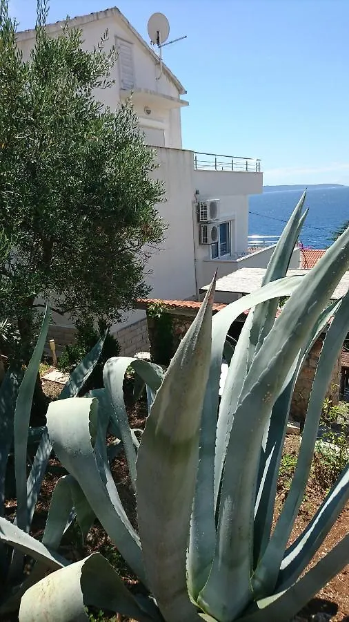 Charming Modern House With The New Swimming Pool - Apartment Maya 1 Trogir